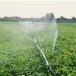 13910117000129_PhotoA