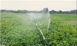 پرداخت بیش از ۹ میلیارد تومان تسهیلات به کشاورزان گناباد