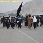 mashhad13
