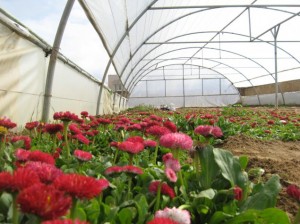 d8e758ca326a0d1b149781c44f98ae73