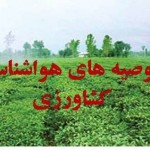 khabar