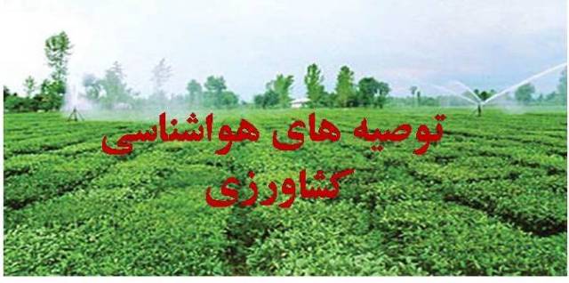 توصیه‌های هواشناسی کشاورزی از ۱۱ تا ۱۸ اسفند ۹۳