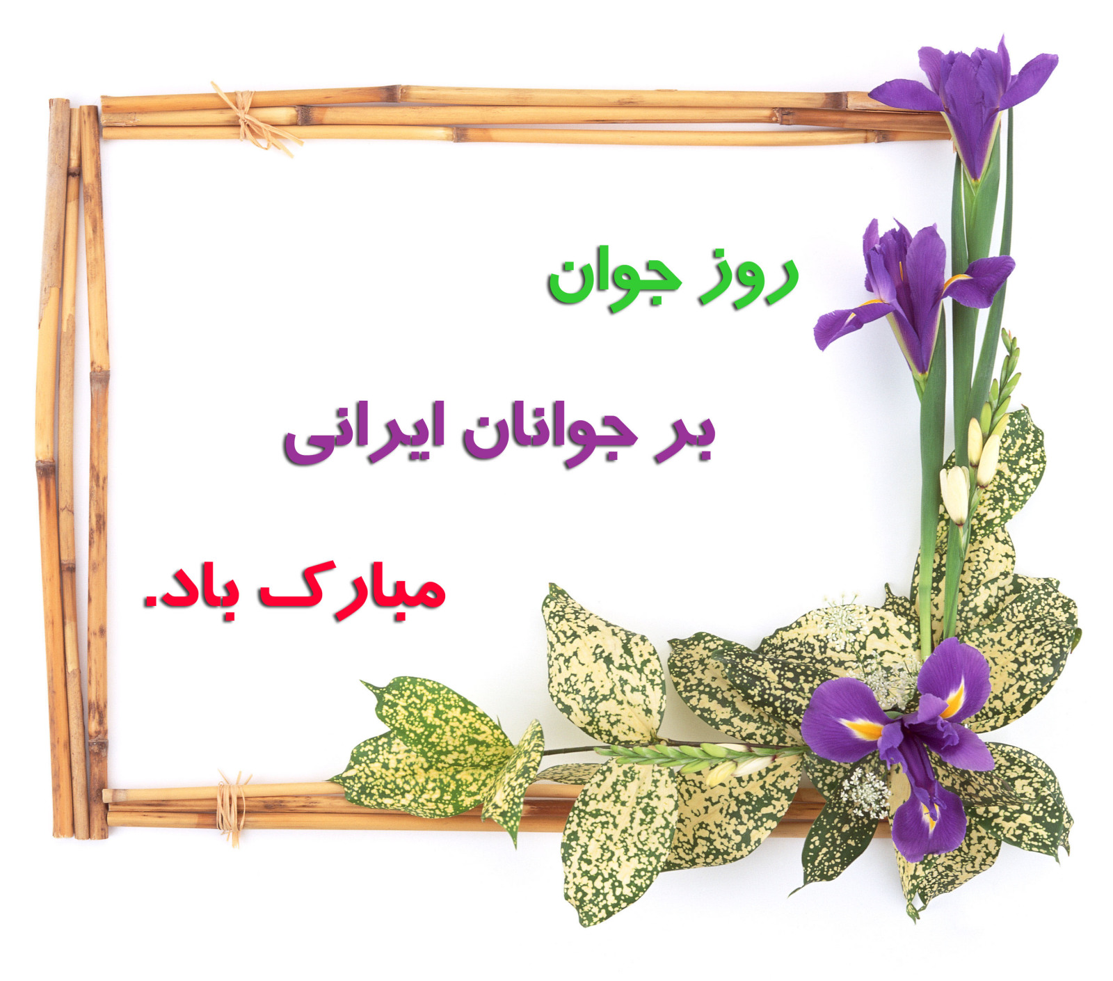 وظیفه روحانیت این است که به جوانان کمک کند تا به ثبات عقیده و ایمان و استقامت در برابر حملات فکری دشمنان برسند