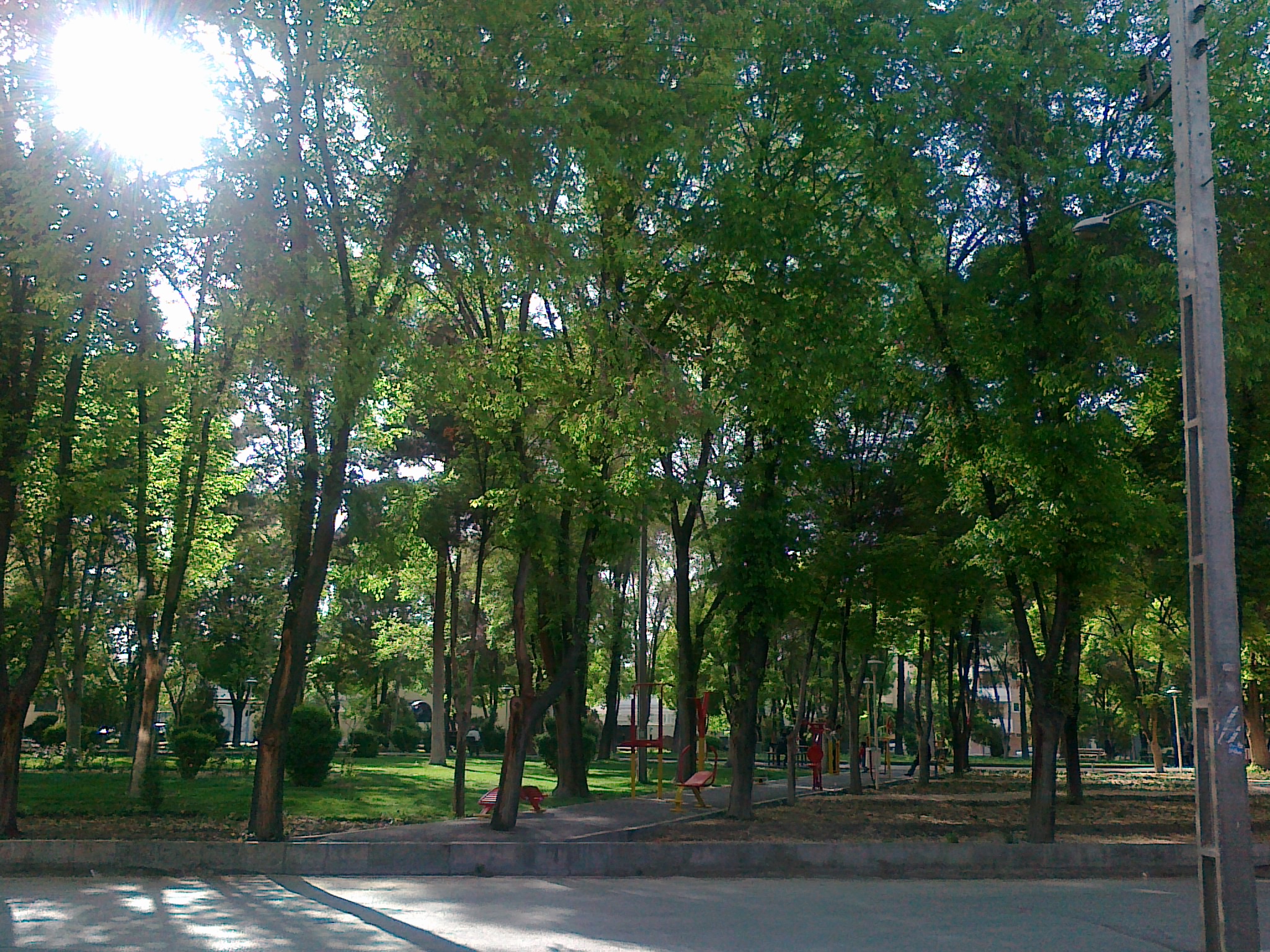 شب بریم پارک دانشگاه