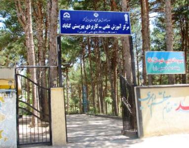 از تمام ظرفیت وزارت تعاون، کار و رفاه اجتماعی برای بهترشدن مرکز گناباد استفاده کنید