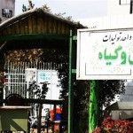 واحد تولید گل وگیاه