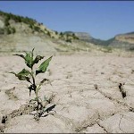 IMG10025858