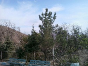 اردوگاه شهید مهاجرانی کاخک (14)