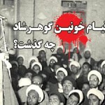 محمدتقی بهلول،قیام گوهرشاد