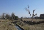 خشکسالی ۵۰۰ هزار هکتار زمین کشاورزی را از عرصه کشت خارج کرد