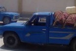 کشف ۱۴۰۰ کیلوگرم پیاز زعفران قاچاق در گناباد