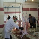 کشتارگاه گناباد