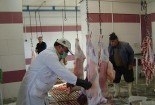 تکمیل کشتارگاه صنعتی گناباد نیازمند ۱۰ میلیارد ریال اعتبار