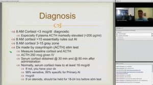 برگزاری اولین « تله گراند راند » بین‌المللی در دانشگاه علوم پزشکی گناباد