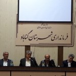 معاون بنیاد مسکن کشور