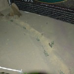 یادواره شهدای عملیات مرصاد شهرستان گناباد (11)