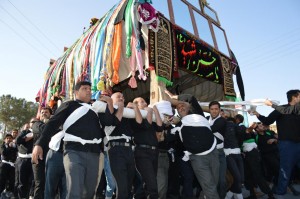 نخل گردانی نوقاب گناباد (2)