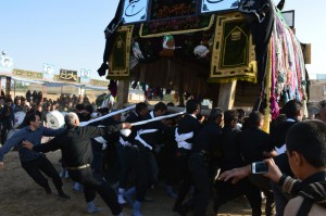 نخل گردانی نوقاب گناباد (4)