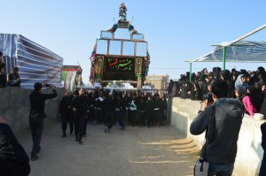 نخل گردانی نوقاب گناباد (5)