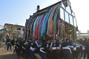 نخل گردانی نوقاب گناباد (6)