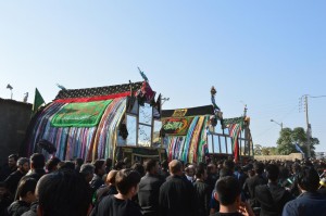 نخل گردانی نوقاب گناباد (7)