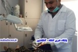 اخلاق در پزشکی، عاملی اثربخش در اعتلای شاخصه‌هاست