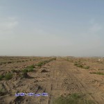 منابع طبیعی گناباد