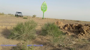 image_۲۰۱۸_۰۵_۰۱-۱۹_۴۰_۰۴_۶۹۶_10I_new