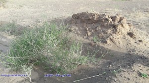 image_۲۰۱۸_۰۵_۰۱-۱۹_۴۰_۱۵_۶۱۲_FsV_new