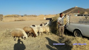 روستای کلاته کلوخ (11)_new