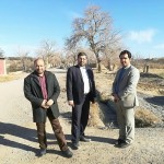 قطع درختان در گناباد (2)