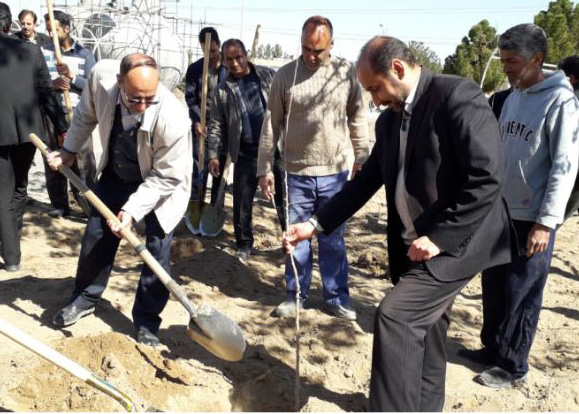 کاشت 3 هزار اصله نهال در گناباد