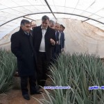 دکتر محمد امید معاون رئیس جمهور