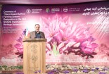 هر ۱۰۰۰ متر گلخانه ۲۵ میلیون تومان درآمدزایی می‌کند