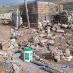 photo_2019-04-11_07-23-52_new