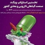 استارتاپ