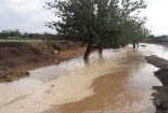 بازدید میدانی مدیران از محل وقوع سیل