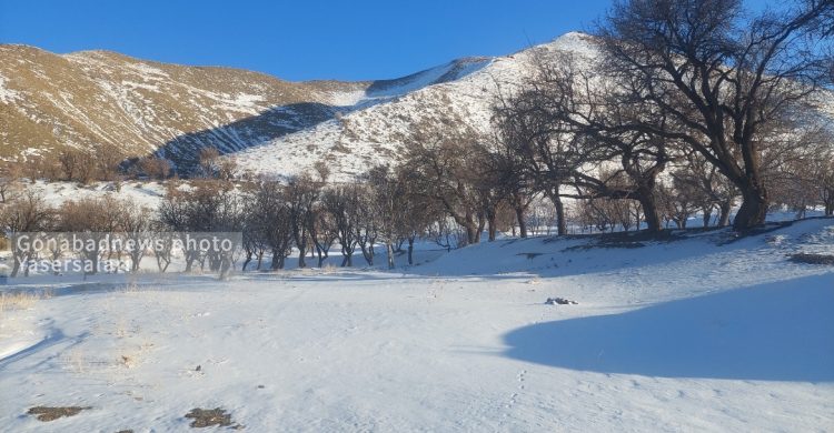 گزارش تصویری | مزارع بخش کاخک سفید پوش شد