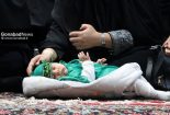 گزارش تصویری | مراسم شیرخوارگان حسینی برگزار شد