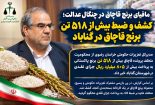 حکم پرونده قاچاق برنج اعلام شد، جریمه میلیاردی و ضبط برنج ها